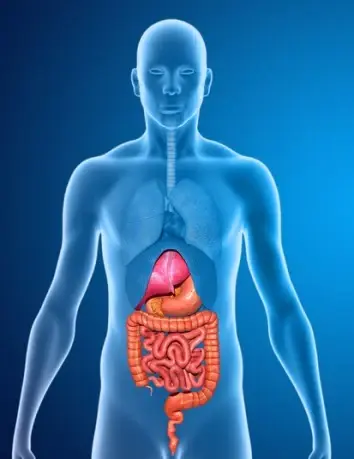 بهبود عملکرد دستگاه گوارش