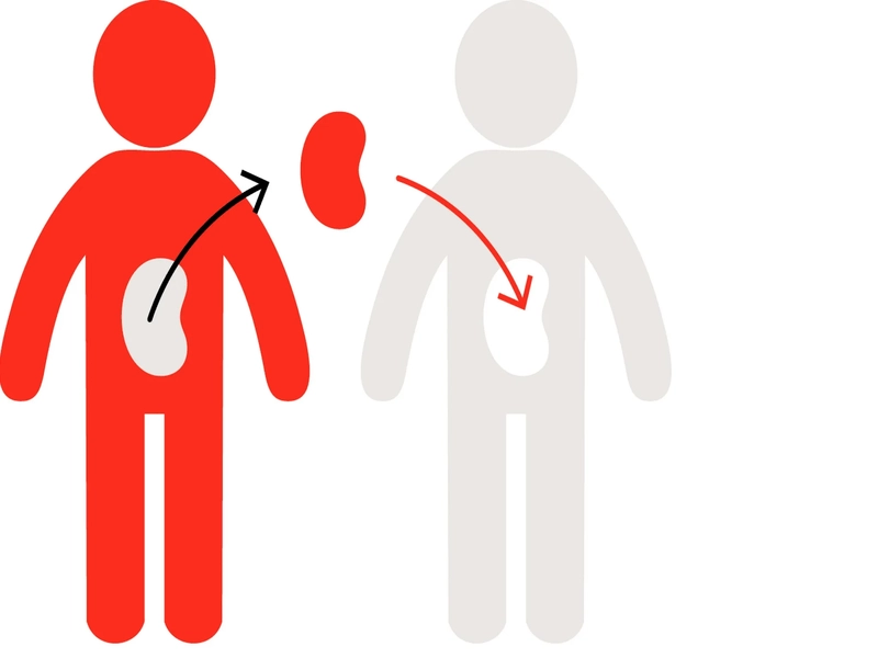 دکتر ضرغامی