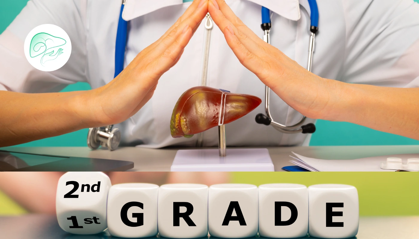 انواع گرید کبد چرب