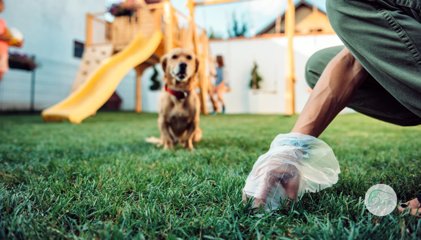 آیا راهی برای پیشگیری از ابتلا به کیست هیداتید وجود دارد؟ 