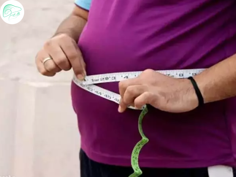 رابطه اضافه وزن و کبد