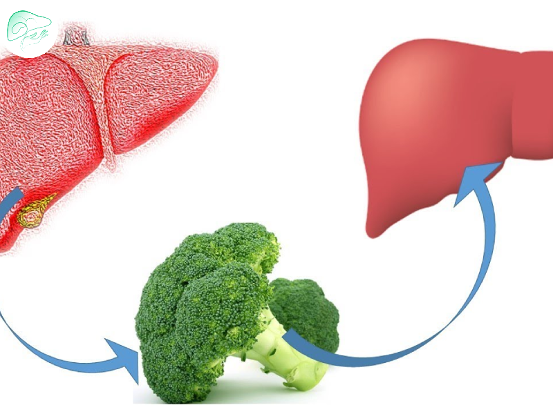 اصول تغذیه بیماران کبدی