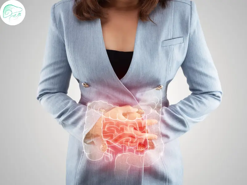 ارتباط روده و کبد چگونه است؟