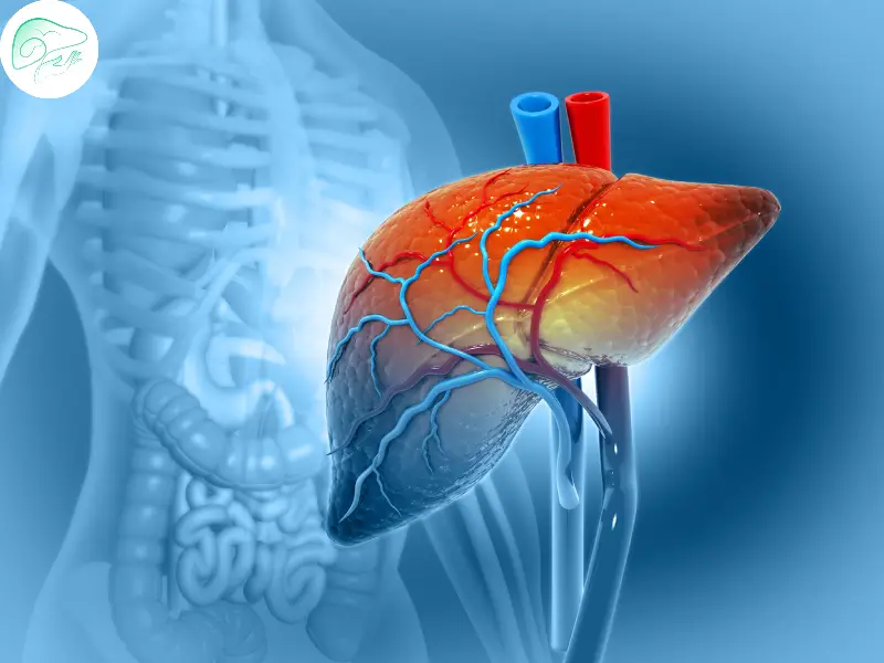 رازهای درمان کبد چرب با آخرین روش‌های علمی و طبیعی