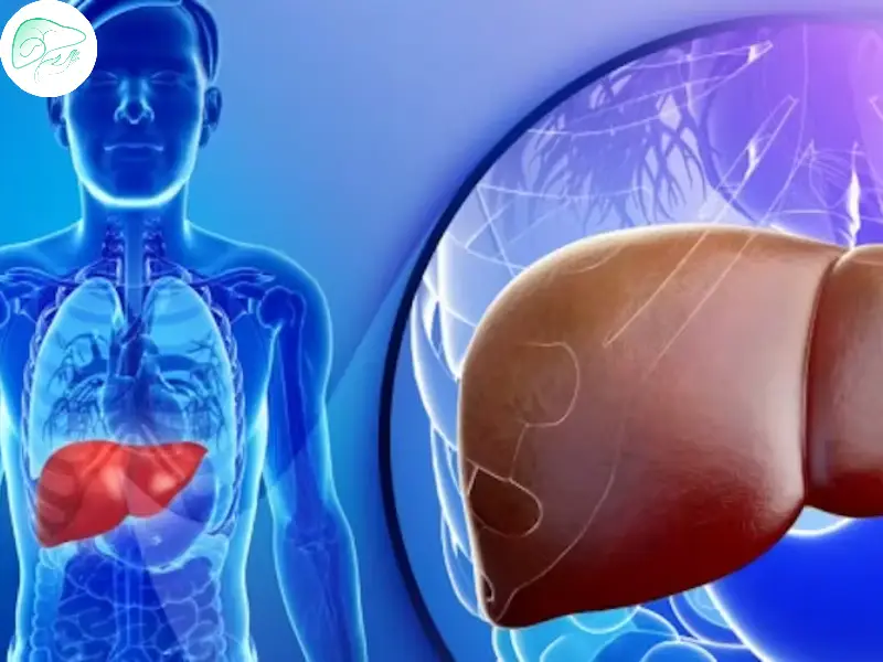 کبد چرب چیست و چه عواملی باعث آن می‌شود؟